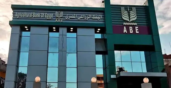 البنك الزراعي المصري يوزع صكوك الأضاحي على 5 آلاف أسرة قبل عيد الأضحى