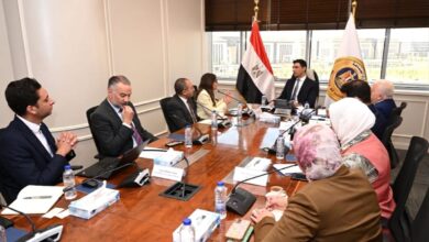 مصر تفرض 25% طاقة شمسية على المصانع الجديدة لتعزيز التحول الأخضر