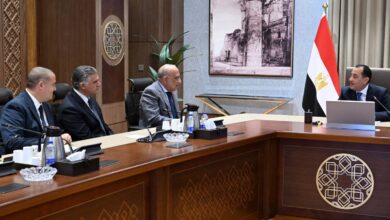 مدبولي يوجه بالإسراع في تنفيذ مشروعات الطاقة المتجددة بمصر