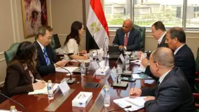 مصر واليابان تعززان الشراكة في الطاقة المتجددة والتحول الرقمي وتطوير الذكاء الاصطناعي