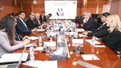 "شمس الصناعة".. مبادرة مصرية لتركيب محطات طاقة شمسية على أسطح 7000 مصنع
