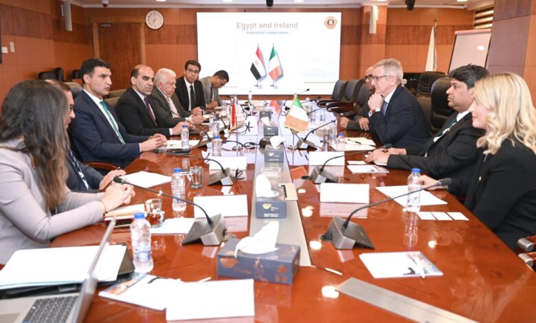 "شمس الصناعة".. مبادرة مصرية لتركيب محطات طاقة شمسية على أسطح 7000 مصنع