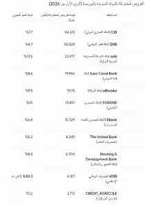 القروض المشتركة بالبنوك المدرجة في البورصة ترتفع إلى 240.85 مليار جنيه