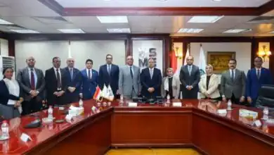 تعاون حكومي لدعم المشروعات الصغيرة في صعيد مصر وتوفير فرص عمل | تفاصيل