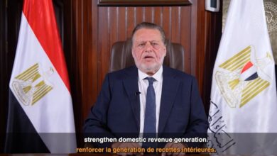 حسن عبدالله: تعزيز مرونة الاقتصادات الأفريقية ضرورة لمواجهة التحديات | فيديو