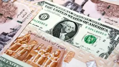 مع عودة التدفقات الأجنبية.. الجنيه المصري يتصدّر العُملات العالمية أداءً