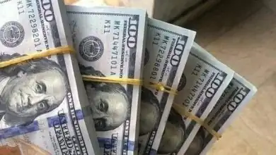سعر الدولار اليوم في مصر.. استقرار العُملة الأمريكية قرب 49.77 جنيه