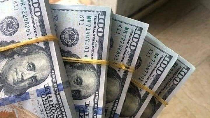 سعر الدولار اليوم في مصر.. استقرار العُملة الأمريكية قرب 49.77 جنيه