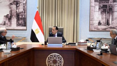 مدبولي يسرّع إعادة هيكلة 59 هيئة اقتصادية.. وقرارات دمج وإلغاء مرتقبة