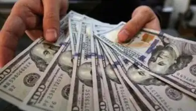 مؤشر الدولار الأمريكي يستقر دون 101 نقطة مع تراجع رهانات رفع الفائدة
