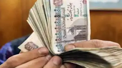 شهادات ادخار «التجاري الدولي» في يوليو.. أعلى عائد ومزايا الاستثمار
