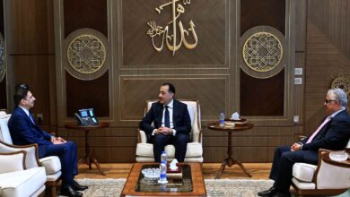 مدبولي: موانئ دبي العالمية تعتزم التوسع باستثمارات جديدة في اقتصادية قناة السويس