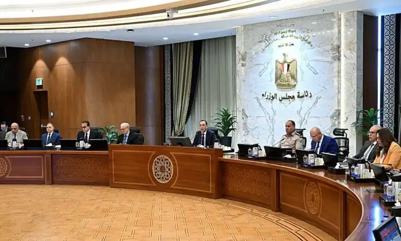 مدبولي يقر 9 قرارات .. رخص ذهبية لمشروعات بطاريات باستثمارات 800 مليون دولار