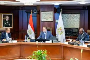 حسن عبدالله: مصر حريصة على تعزيز التكامل الاقتصادي والتجاري مع الدول الإفريقية