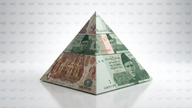 سعر الجنيه المصري مقابل الروبية الباكستانية فى البنوك المصرية اليوم