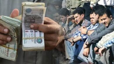 بشرى للعمالة غير المنتظمة| غدًا .. بدء صرف الدفعتين الثانية والثالثة من المنحة
