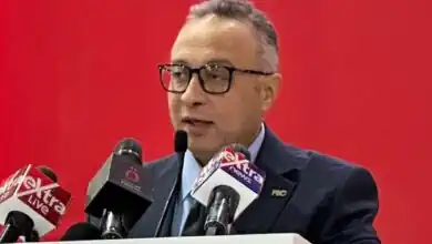 الصادرات الغذائية المصرية المصنعة تحقق مستوى تاريخي وتتجاوز 3.77 مليار دولار في نصف عام