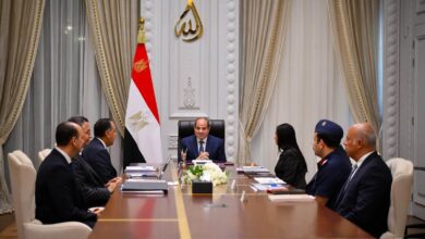 الرئيس السيسي يتابع منظومة الأمن الغذائي والدعم.. ومخزون السلع يكفي لفترات تقترب من عام|تفاصيل