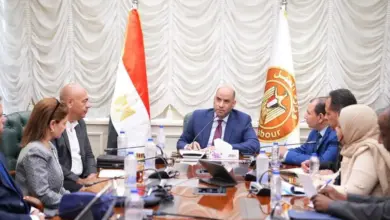 تصاريح عمل الأجانب في مصر تدخل عصر الرقمنة بمنصة إلكترونية موحدة