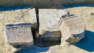اكتشاف أثري مثير في مصر.. نقش باسم «مسن» يقود إلى المدينة المفقودة