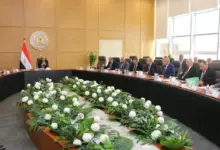 وزير الكهرباء يضع 72 ساعة حداً لعطل العدادات.. وتقسيط متأخرات الفواتير للمواطنين