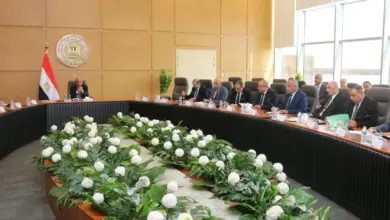 وزير الكهرباء يضع 72 ساعة حداً لعطل العدادات.. وتقسيط متأخرات الفواتير للمواطنين