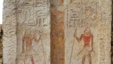 سقارة تفاجئ العالم.. اكتشاف مقبرة لمسؤول بارز وأكثر من 100 تمثال أوشابتي