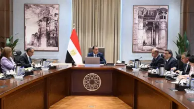 زيارة شي جين بينج لمصر.. تحرك حكومي لتعزيز الاستثمارات والمشروعات المشتركة