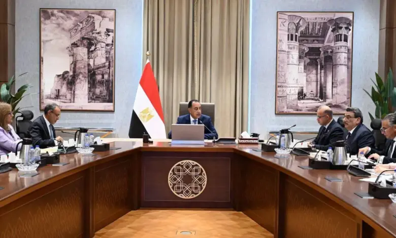 زيارة شي جين بينج لمصر.. تحرك حكومي لتعزيز الاستثمارات والمشروعات المشتركة