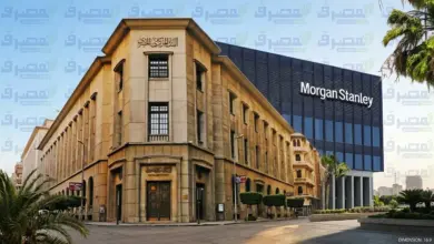 مورغان ستانلي يفتح الباب أمام خفض الفائدة في مصر بـ200 نقطة أساس