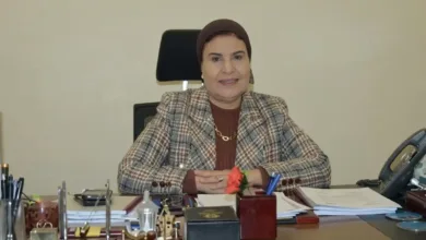«الجمهورية الجديدة» تضع الإعلانات على الطرق تحت المجهر.. قواعد جديدة تحاصر التشوه البصري