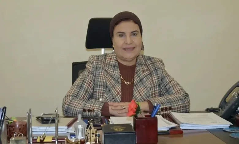«الجمهورية الجديدة» تضع الإعلانات على الطرق تحت المجهر.. قواعد جديدة تحاصر التشوه البصري