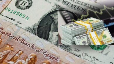 الدولار يتراجع 22 قرشًا أمام الجنيه في البنوك المصرية.. و«أبوظبي الإسلامي» يسجل أعلى سعر للبيع