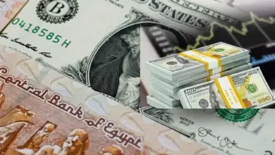 الدولار يقترب من كسر حاجز 50 جنيهًا.. ماذا حدث في البنوك اليوم؟