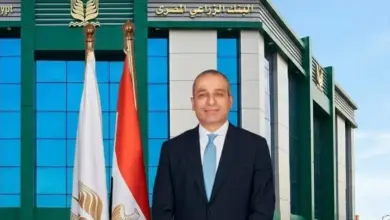 المنيا في الصدارة .. البنك الزراعي المصري يكشف حصيلة توريدات القمح بقيمة 12 مليار جنيه