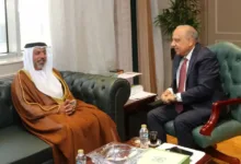الإمارات على خط الطاقة المصري.. الشمس والرياح وبطاريات التخزين تفتح سوقًا استثمارية جديدة