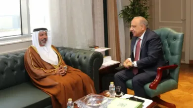الإمارات على خط الطاقة المصري.. الشمس والرياح وبطاريات التخزين تفتح سوقًا استثمارية جديدة