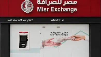 مصر للصرافة تفتتح 6 فروع جديدة وترفع شبكة فروعها إلى 76 فرعًا على مستوى الجمهورية