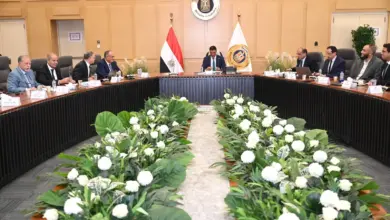 5 آلاف مصنع أمام اختبار التصدير.. الصناعة تتحرك لخفض تكلفة مواد البناء