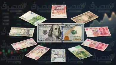 أسعار العُملات العربية والأجنبية اليوم 29-8-2026 في مصر.. استقرار نسبي أمام الجنيه