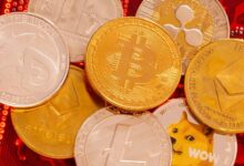 أفضل محافظ العملات الرقمية في 2026.. مقارنة بين أشهر 10 محافظ ونصائح لحماية الأصول الرقمية