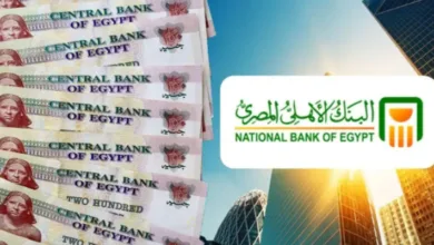 11.5% عائدًا سنويًا.. تفاصيل حساب توفير المعاش من البنك الأهلي المصري