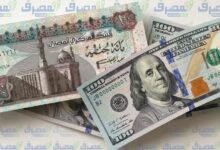 تراجع مُفاجئ .. الدولار يهبط في البنوك ويُسجّل أقل من 50 جنيهًا خلال منتصف التعاملات
