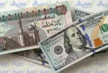 سعر الدولار اليوم الأحد 16 أغسطس 2026 في البنوك المصرية