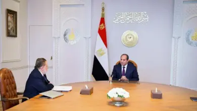الرئيس السيسي يجدد تكليف حسن عبد الله قائمًا بأعمال محافظ البنك المركزي لعام جديد
