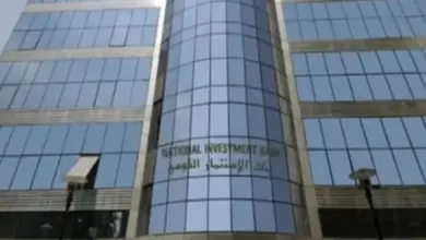 بنك الاستثمار القومي يتحول للربحية بصافي 6 مليارات جنيه بعد خسائر 31.7 مليار