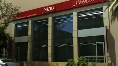 بنك ناصر يدعم زراعة القمح والنخيل في الوادي الجديد ويخصص العوائد لـ«تكافل وكرامة»