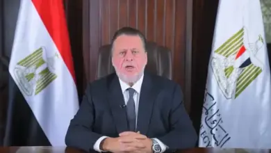 حسن عبد الله: الاقتصاد المصري أصبح أكثر قدرة على مواجهة الصدمات