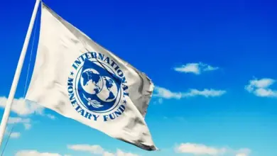 16.9 مليار دولار خروجًا و14.2 مليار عودة.. ماذا حدث لاستثمارات الأجانب في مصر؟