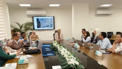 17 ألف إعلان تغيّر قواعد اللعبة.. لا تراخيص جديدة في القاهرة والجيزة إلا بالشروط الجديدة